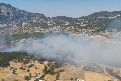 Kaş’ta ormanlık alanda yangın