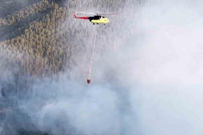 Kastamonu’da çıkan orman yangını kontrol altına alındı