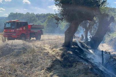 Kastamonu’da çıkan örtü yangını söndürüldü