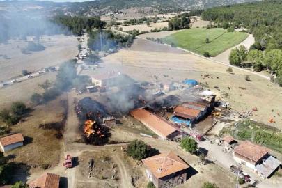 Kastamonu’da çıkan samanlık yangını ahırlara sıçradı: İlk belirlemelere göre 14 büyükbaş hayvan telef oldu