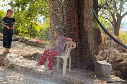 Kavurucu sıcağa karşı çözümü ağaçtan sarkıttığı hortumdan akan suda buldu
