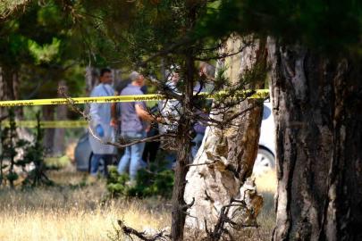 Kayıp olarak aranan kadın ormanlık alanda ölü bulundu