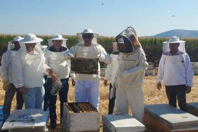 Kaymakam Özcan bal hasadına katıldı