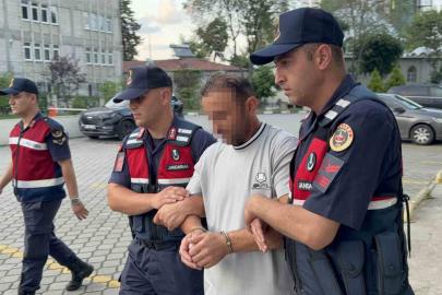 Kesilen ayva dalı tartışmasında amcasını öldüren gurbetçi: "Amcam silahla bana ateş açınca ben de kendimi korumak için ateş ettim"