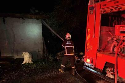 Kumru’da ahır yangını: 1 buzağı telef oldu