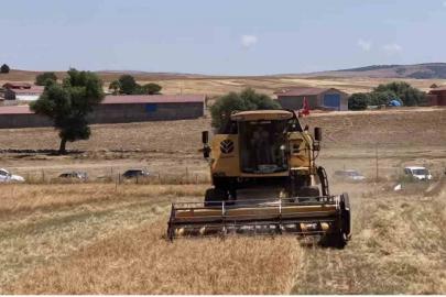 Kütahya’da 18 farklı nohut çeşidi aynı tarlada tanıtıldı