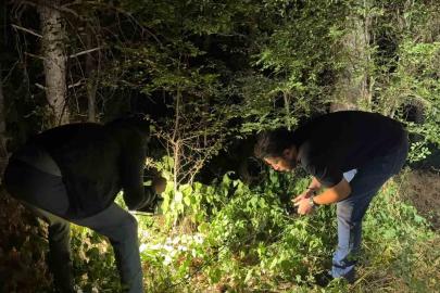 Kütahya’da ormanlık alanda silahlı yaralama: 1 kişi yakalandı
