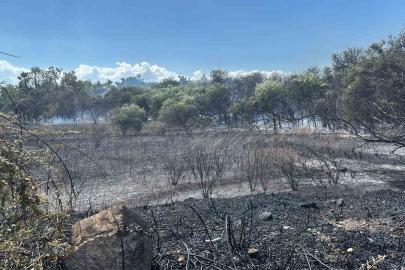 Manavgat’ta boğaz mendirek yolunda korkutan yangın
