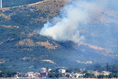 Marmara Adası’nda orman yangını başladı
