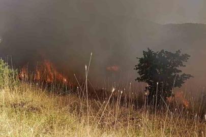 Muş’ta ormanlık alanda çıkan yangın kontrol altına alındı