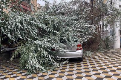 Niğde’de devrilen ağaç park halindeki aracın üzerine düştü