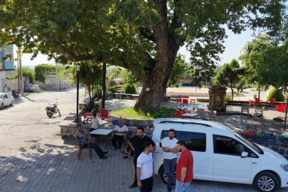 Osmaniye’de 260 yıllık çınar yaz sıcağında doğal klima oluyor