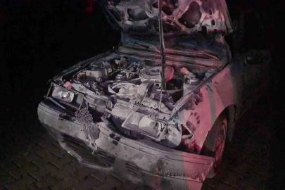 Otomobil karayoluna çıkan 3 mandaya çarptı: 1’i ağır, 2 yaralı