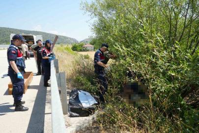 Otomobilin çarptığı bisikletli ağacın altında ölü bulundu, kaçan sürücü kısa sürede yakalandı