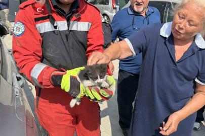 Otomobilin motor bölümüne sıkışan kedi kurtarıldı