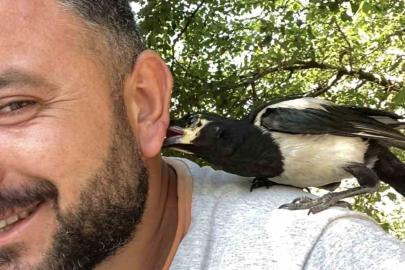 Perişan ismini verdiği saksağanı omuzundan indirmiyor