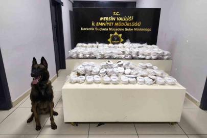 Piyasa değeri 13 milyon 960 bin lira olan 3 kilo 490 gram kokain ele geçirildi
