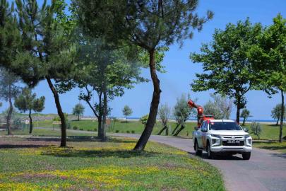 Samsun’da sivrisinek ve haşerelere karşı mücadele