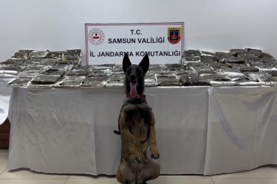 Samsun’da tıra gizlenmiş 132 kilo toz esrar ele geçirildi