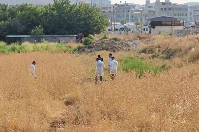 Şanlıurfa’da tarlada erkek cesedi bulundu