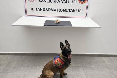 Şanlıurfa’da uyuşturucu operasyonu: 1 tutuklama