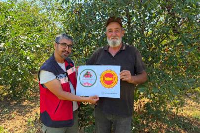 Şaphane Vişnesi için tescil çalışmaları sürüyor
