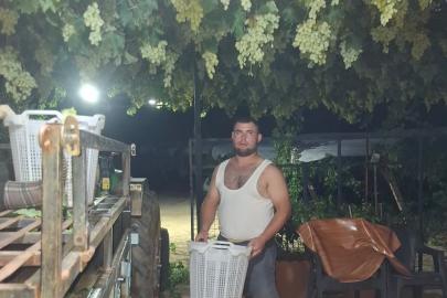 Sarıgöl’de üzüm için gece mesaisi