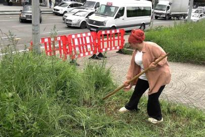 Şehir merkezinde tırpanla geçim mücadelesi