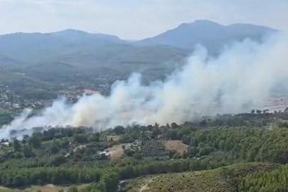 Seydikemer’de orman yangını