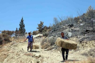Seydikemer’de yaralar hızla sarılıyor