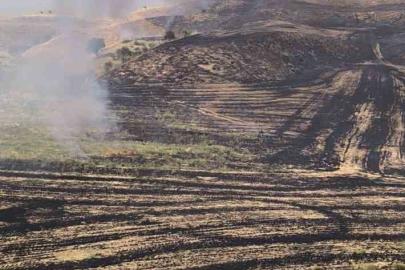 Siirt’te anız yangını meyve bahçesine sıçradı, 100 ağaç zarar gördü