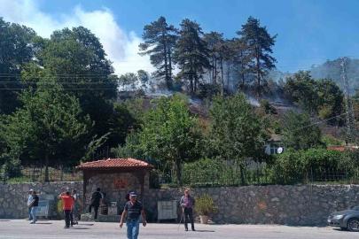Sinop’taki orman yangınıyla ilgili 1 kişi gözaltında