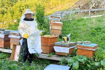 Sinop’un köyünden sofralara doğal bal yolculuğu
