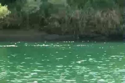 Şırnak’ta 4 kadının bindiği bot devrildi: 1 ölü