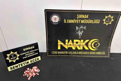 Şırnak’ta asayiş ve narkotik operasyonları düzenlendi