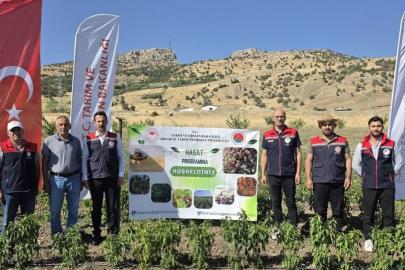 Şırnak’ta TAKE Projesi kapsamında sebze hasadı gerçekleştirildi
