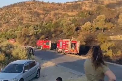 Söke’deki orman yangını kontrol altına alındı