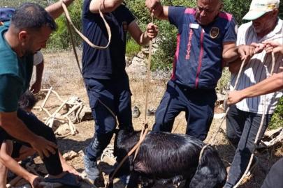 Su kuyusuna düşen keçi itfaiyenin operasyonuyla kurtarıldı