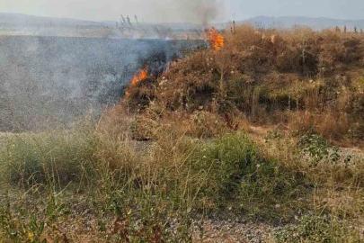 Şuhut’ta anız yangını paniğe neden oldu
