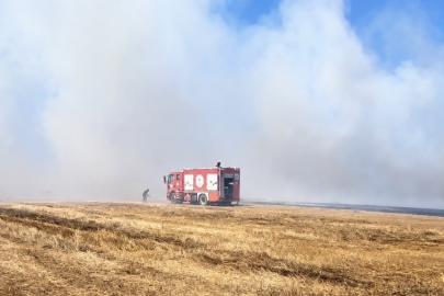 Tekirdağ’da anız yangını