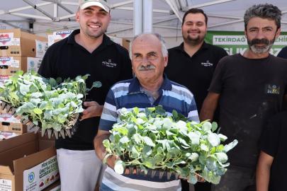 Tekirdağ’da üreticiye kışlık sebze desteği: 104 bin fide dağıtılıyor