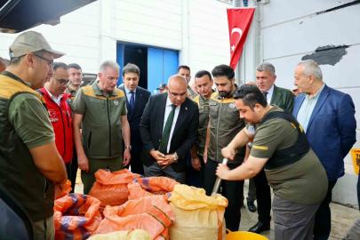 TMO, Giresun’da fındık alımına başladı