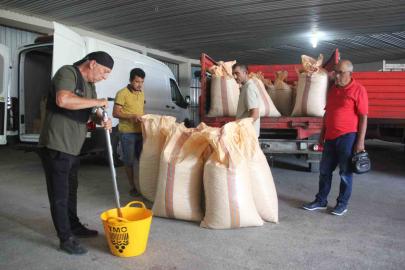 TMO, Ordu’da fındık alımına başladı