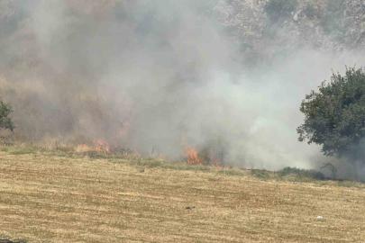 Tokat’ta otluk alandaki yangın büyümeden söndürüldü