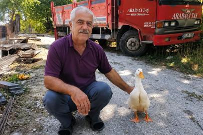 Torunların hevesi geçti, dedenin en yakın dostu oldu