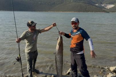 Turna avına çıkan balıkçıların oltasına 127 santimlik dev yayın takıldı