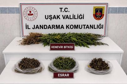 Uşak’ta kaçakçılık operasyonu