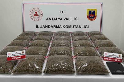 Uyuşturucu operasyonunda 13 şüpheli yakalandı