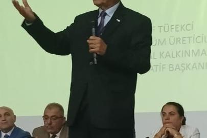 Üzüm sektöründen ’Eylem Planı’ çağrısı