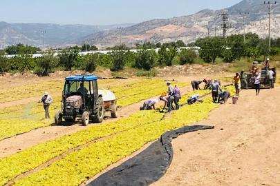Üzüm üreticilerinin sorunlarını Cumhurbaşkanlığına aktarıldı